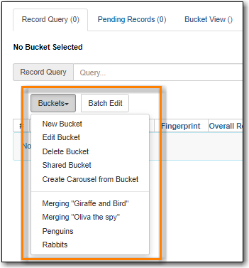 images/cat/buckets/record-bucket-add-query-2.png
