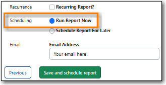 images/report/appendix/run-report-now.png